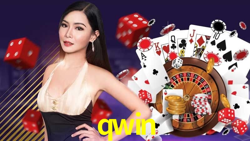 Interface Premium qwin